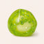 Squnny Kiwi Jelly Crunchy Squishy Ball - ASMR Stress Relief Toy