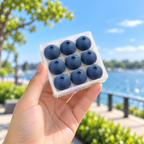 Squnny Blueberry Tap 9-Key Fidget Toy